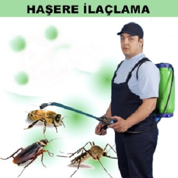 Kızılcahamam Böcek İlaçlama